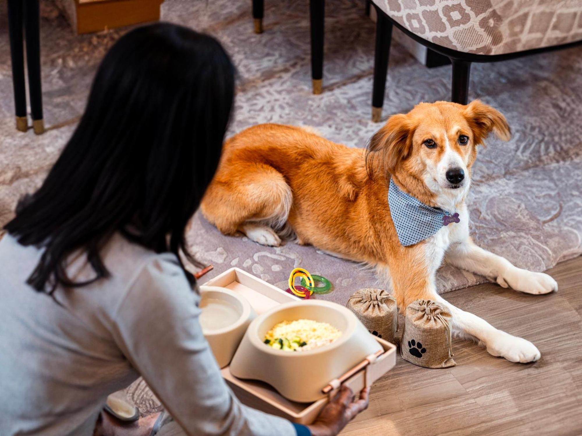 Abesq Doha Hotel And Residences, An Ihg Hotel Екстер'єр фото A dog at the Four Seasons Hotel, Hong Kong